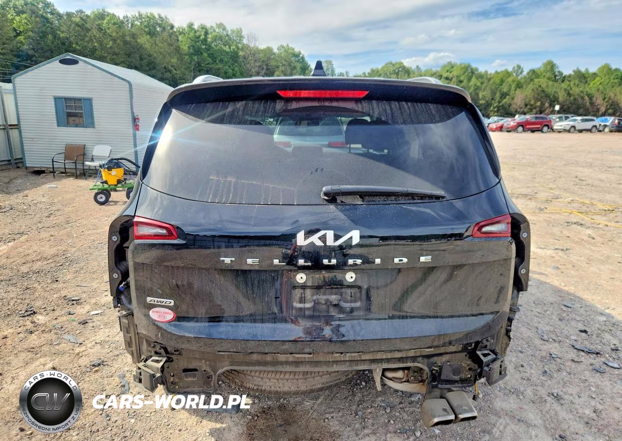 2022 Kia Telluride S VIN:5XYP6DHC8NG314273 - 6