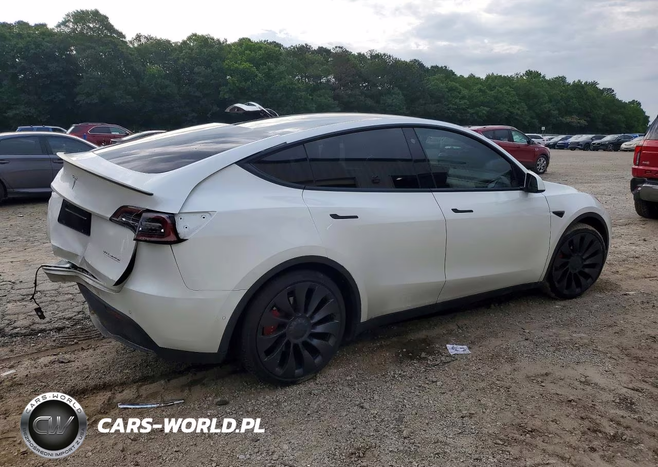 2022 Tesla Model Y VIN:7SAYGDEFXNF539918 - 3