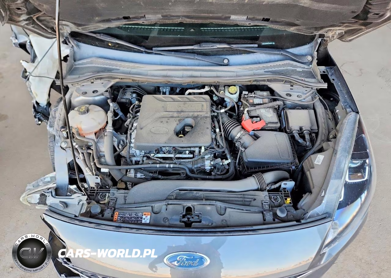 2020 Ford Escape Sel VIN:1FMCU0H66LUA38819 - 12
