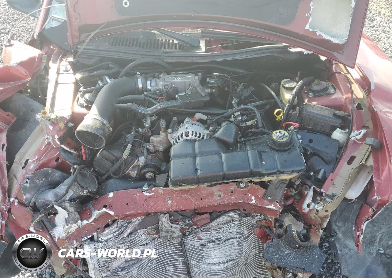 2004 Ford Mustang Gt VIN:1FAFP45XX4F111361 - 11