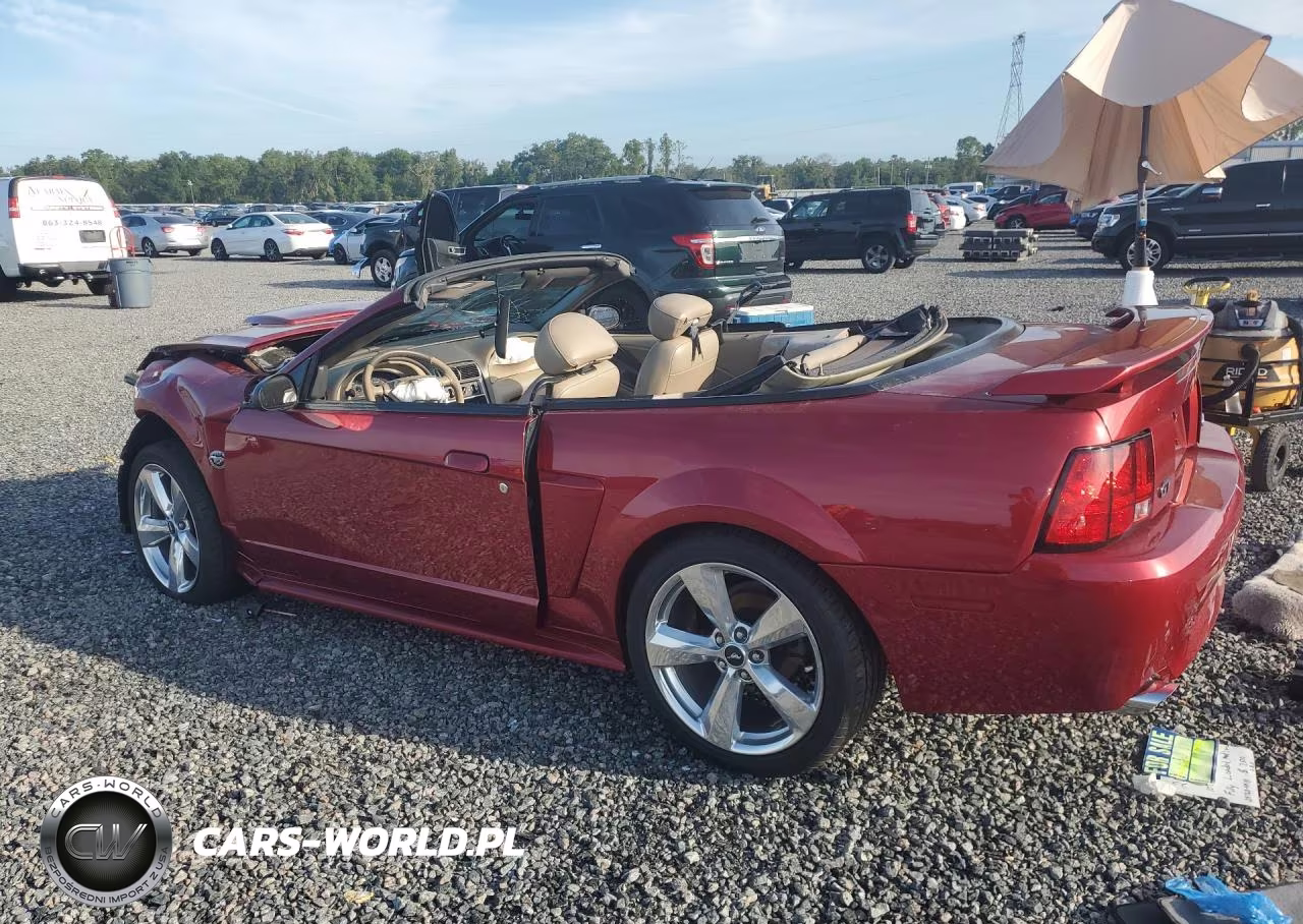 2004 Ford Mustang Gt VIN:1FAFP45XX4F111361 - 2
