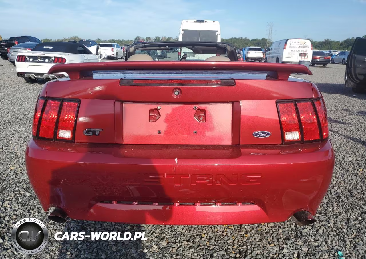 2004 Ford Mustang Gt VIN:1FAFP45XX4F111361 - 6