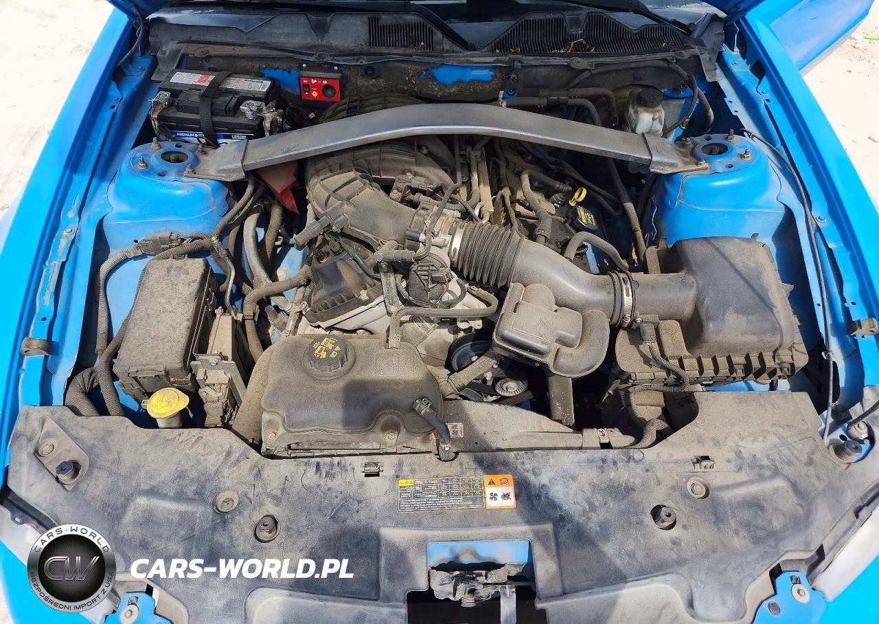 2011 Ford Mustang VIN:1ZVBP8EM1B5119970 - 11
