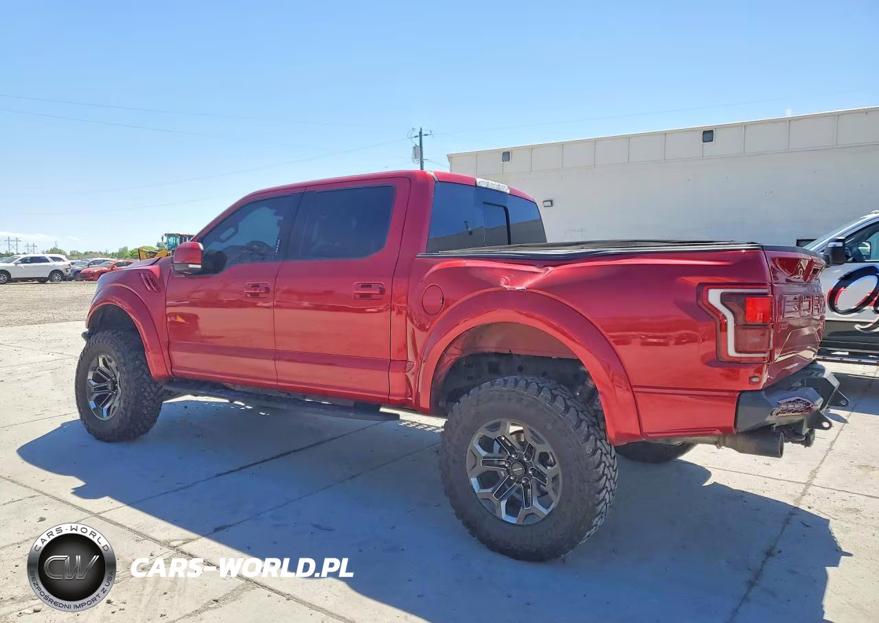 2020 Ford F150 Raptor VIN:1FTFW1RG4LFB79952 - 2