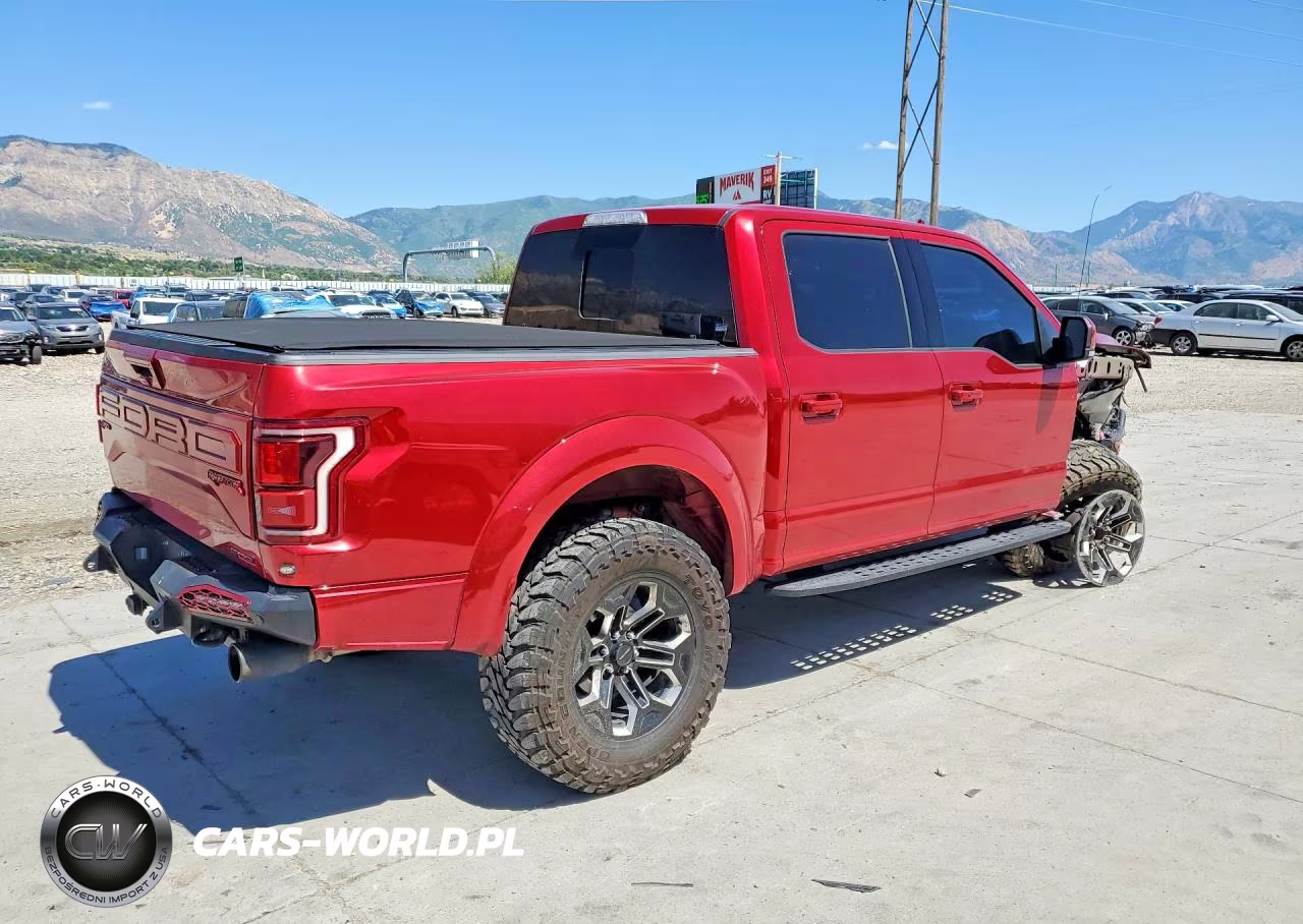 2020 Ford F150 Raptor VIN:1FTFW1RG4LFB79952 - 3