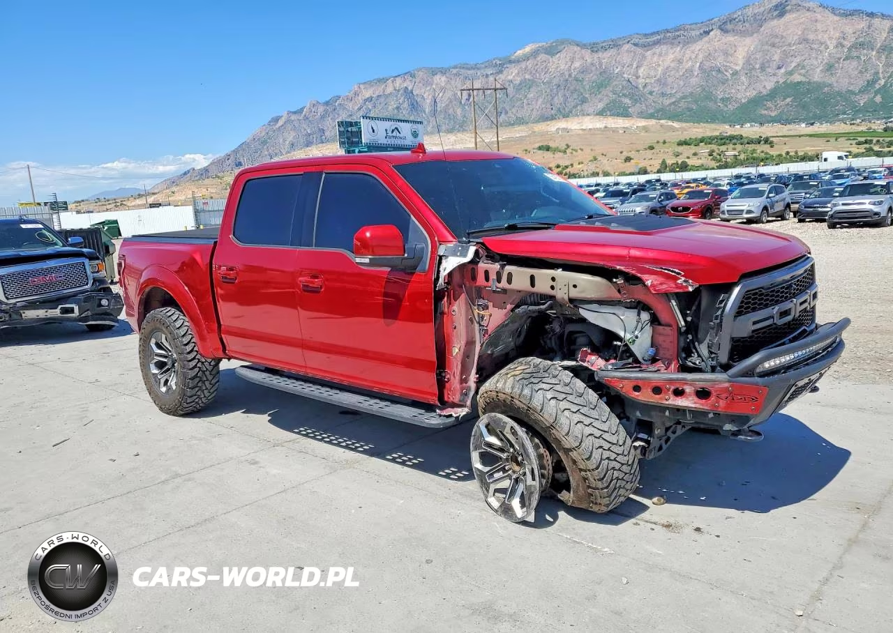 2020 Ford F150 Raptor VIN:1FTFW1RG4LFB79952 - 4