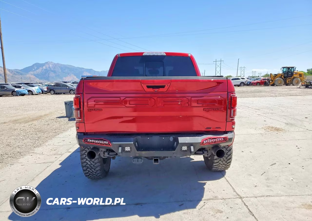 2020 Ford F150 Raptor VIN:1FTFW1RG4LFB79952 - 6