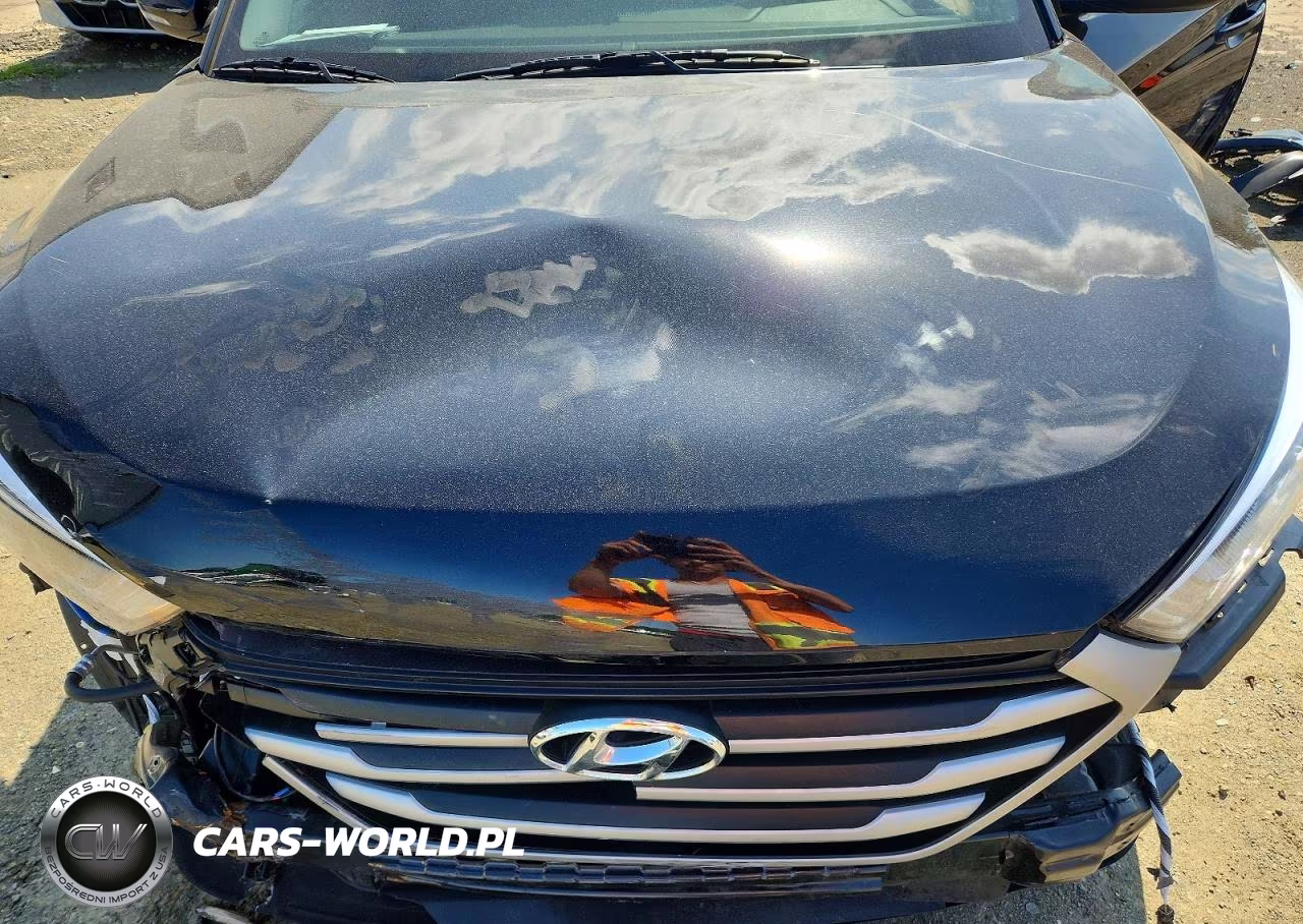 2017 Hyundai Tucson Se Plus VIN:KM8J33A47HU508173 - 12