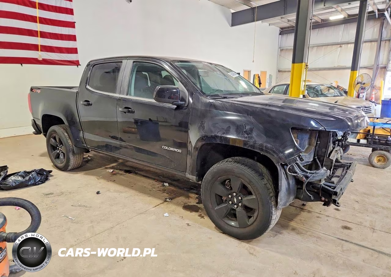 2016 Chevrolet Colorado Lt VIN:1GCGTCE34G1210194 - 4