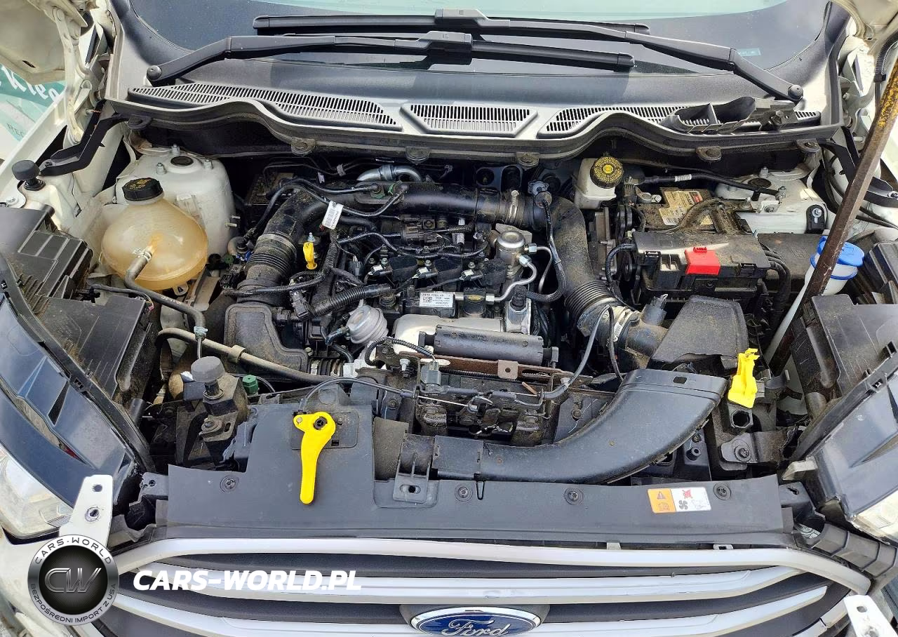 2021 Ford Ecosport Se VIN:MAJ3S2GE8MC407577 - 12
