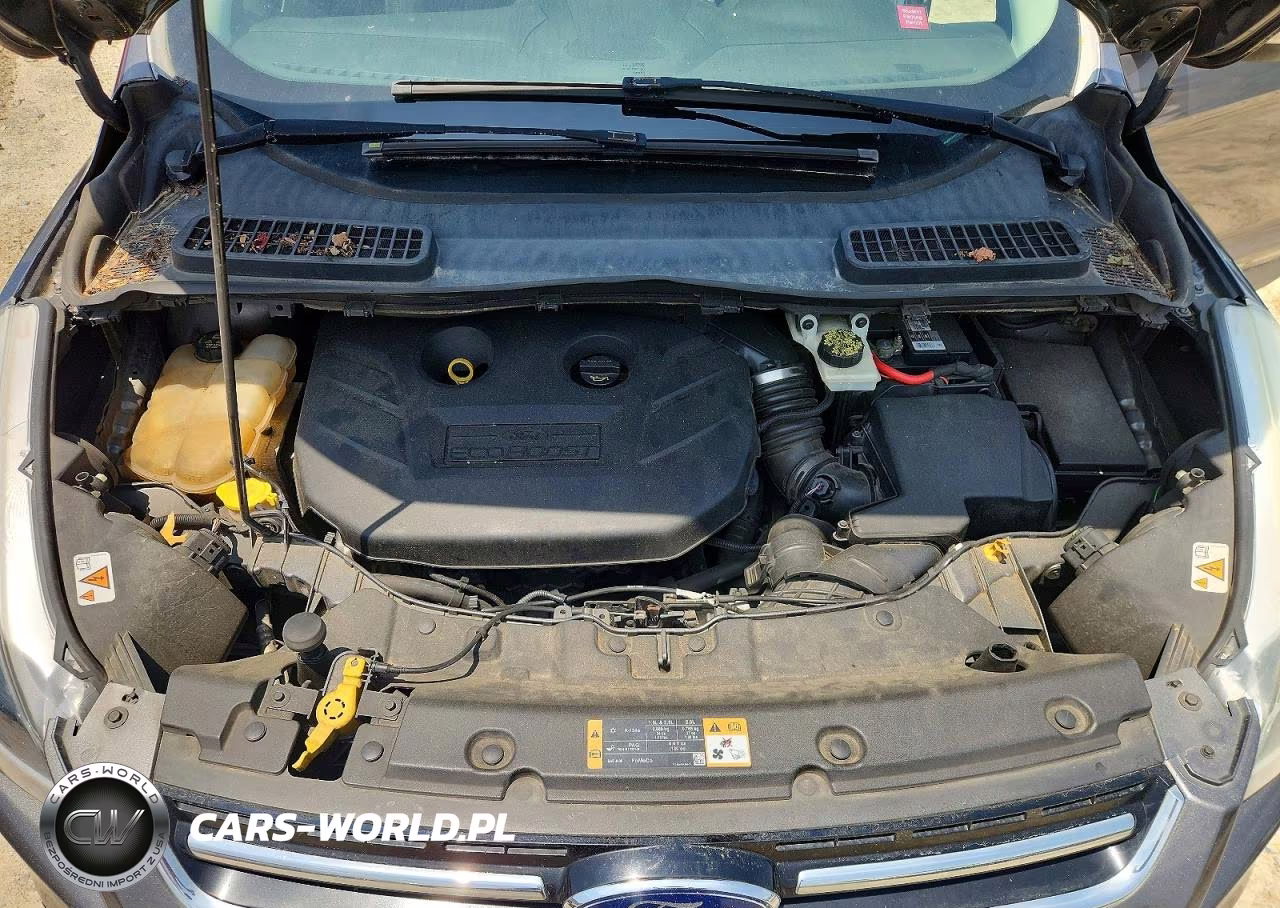 2014 Ford Escape VIN:1FMCU0J98EUB12992 - 12