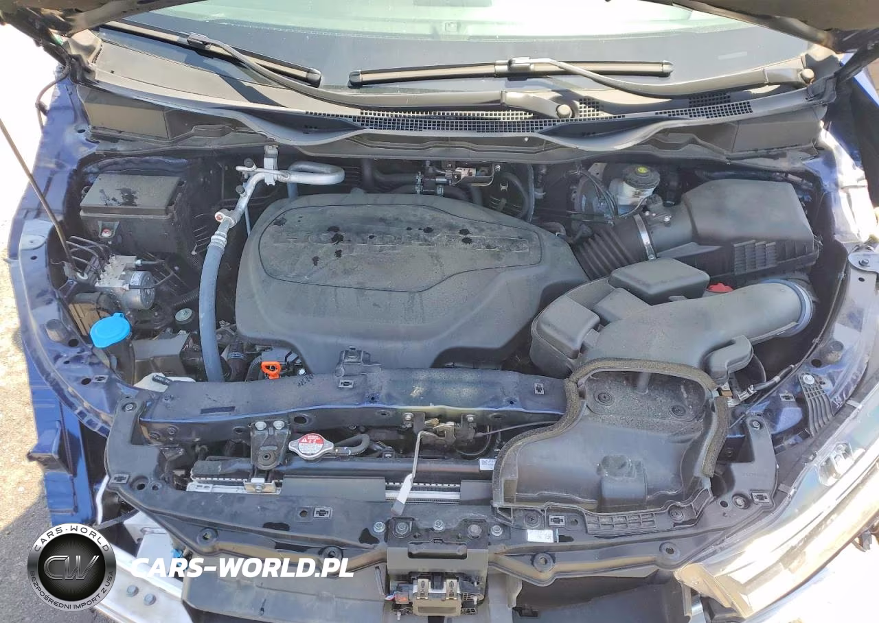 2024 Honda Odyssey Exl VIN:5FNRL6H65RB036856 - 12
