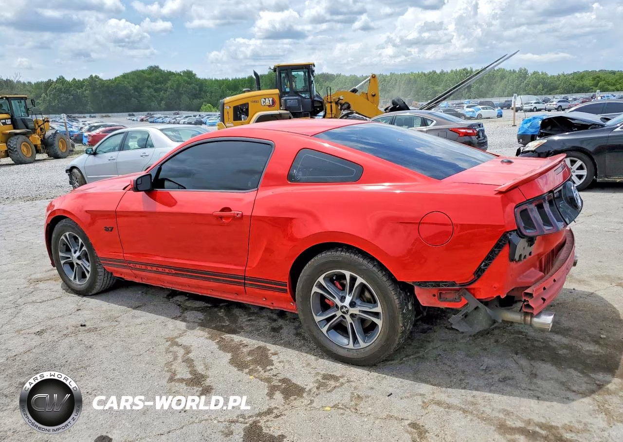 2014 Ford Mustang VIN:1ZVBP8AM7E5328897 - 2