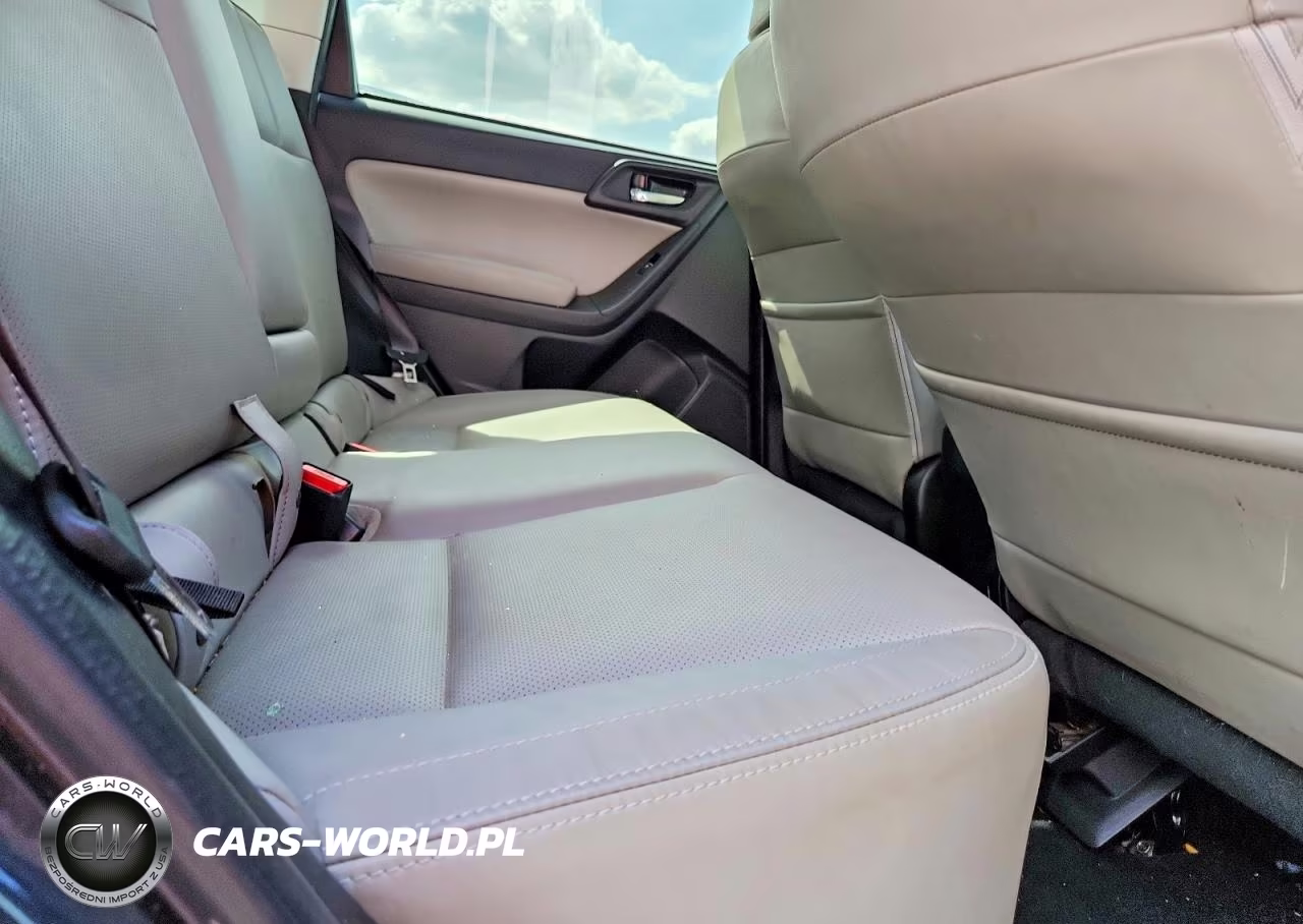 2017 Subaru Forester 2.5I Limited VIN:JF2SJAJC1HH541934 - 11