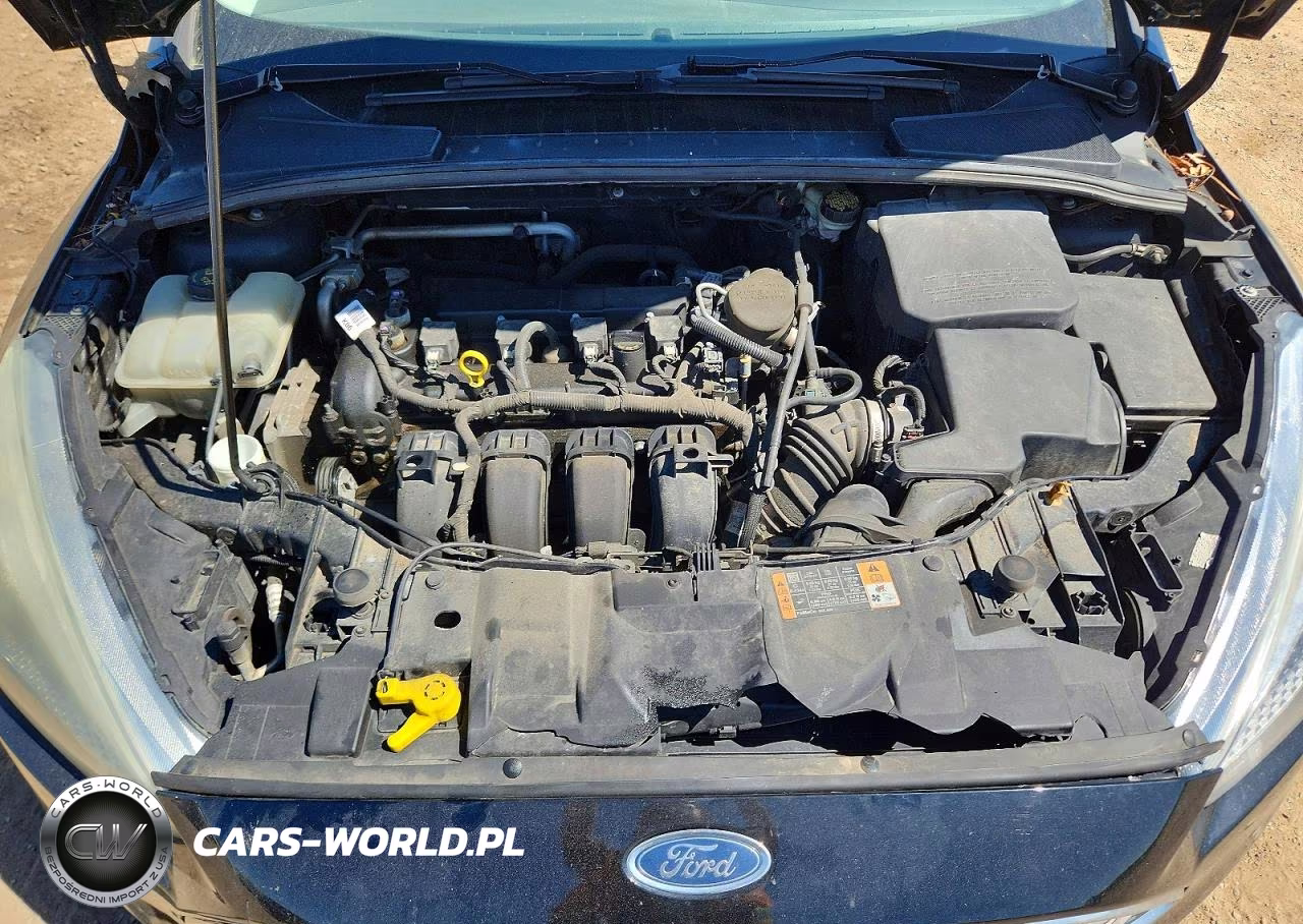 2016 Ford Focus Se VIN:1FADP3F21GL207969 - 11