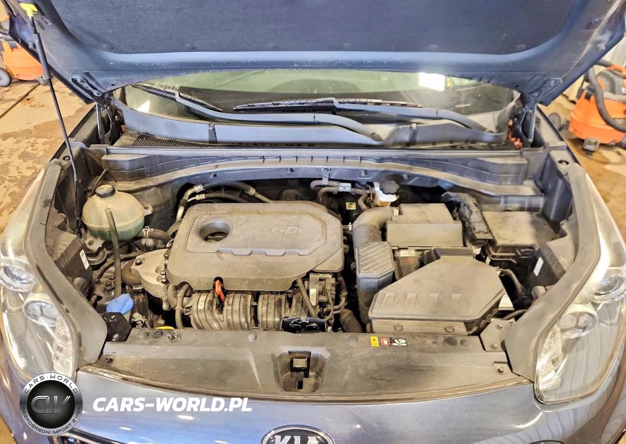 2019 Kia Sportage Lx VIN:KNDPMCAC1K7491654 - 12