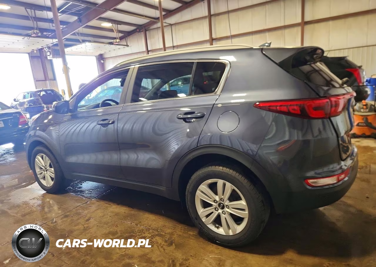 2019 Kia Sportage Lx VIN:KNDPMCAC1K7491654 - 2