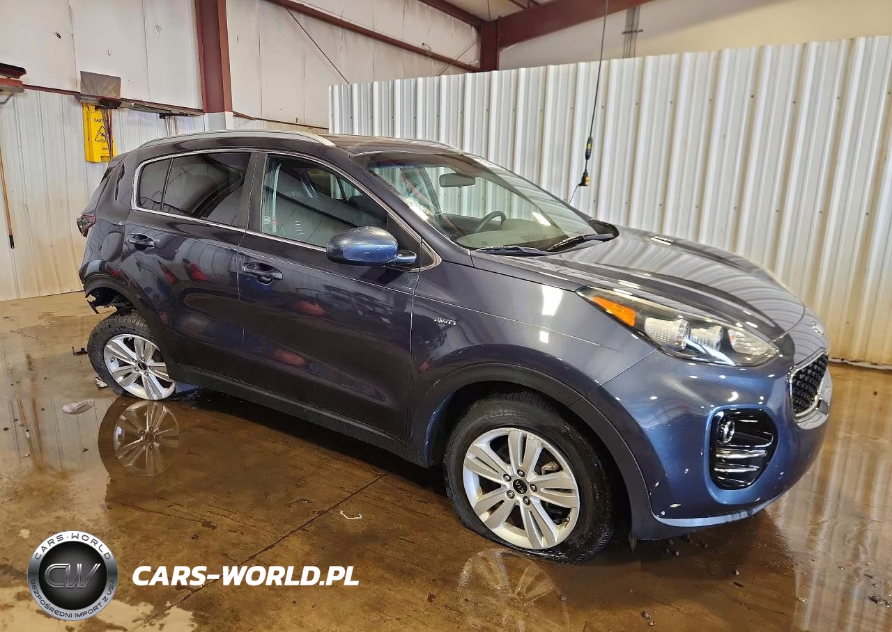 2019 Kia Sportage Lx VIN:KNDPMCAC1K7491654 - 4