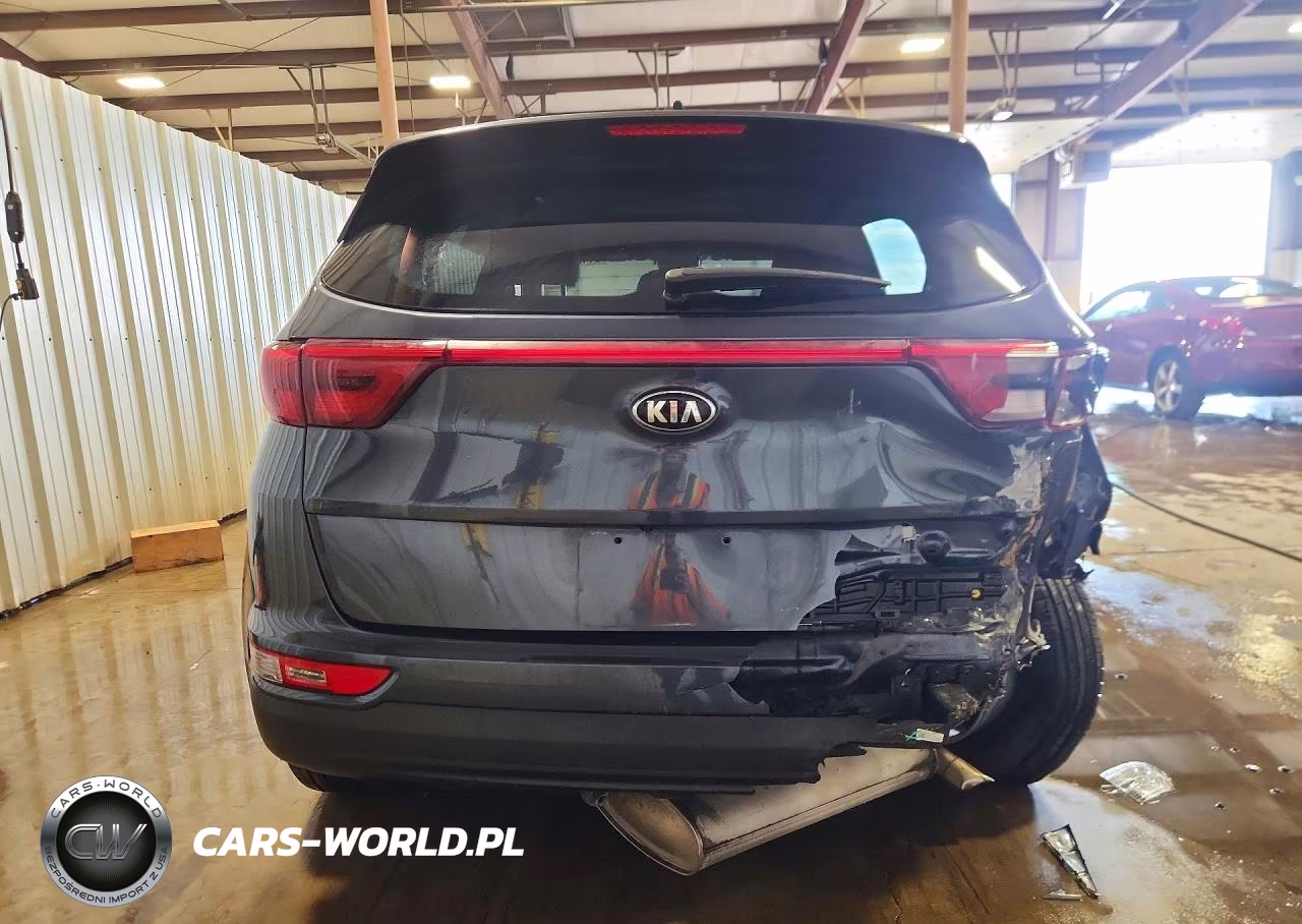 2019 Kia Sportage Lx VIN:KNDPMCAC1K7491654 - 6