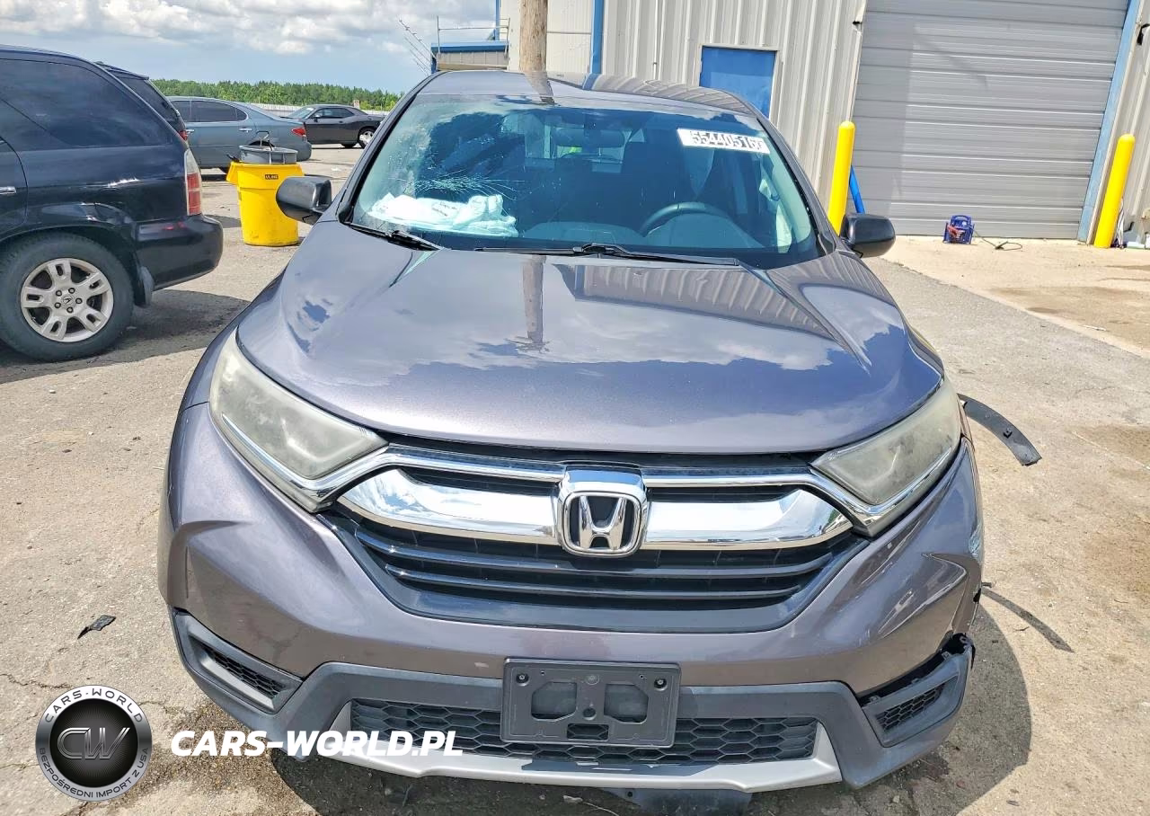 2019 Honda Cr-V Lx VIN:2HKRW5H31KH402875 - 5