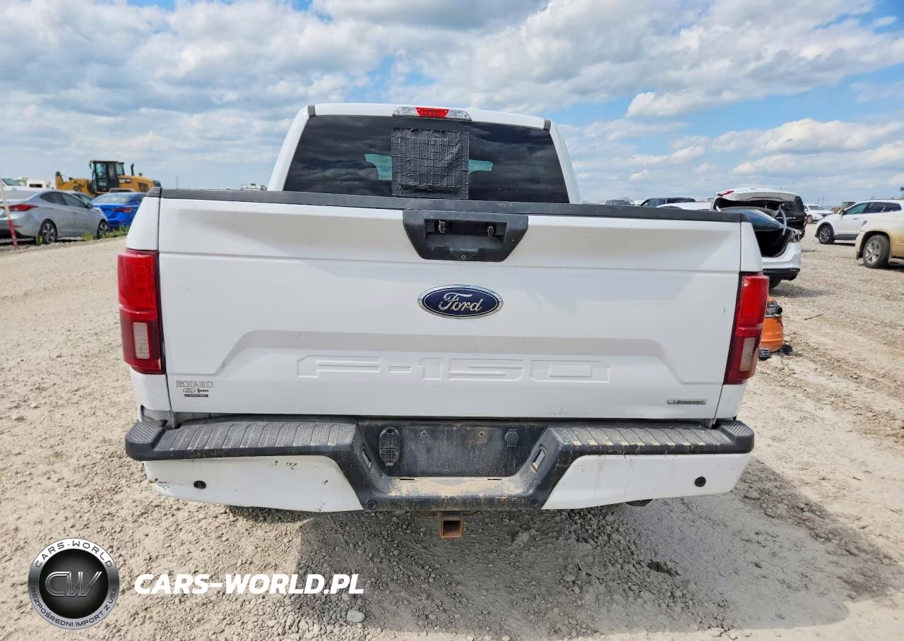 2020 Ford F150 Supercrew VIN:1FTEW1E49LFA08296 - 6