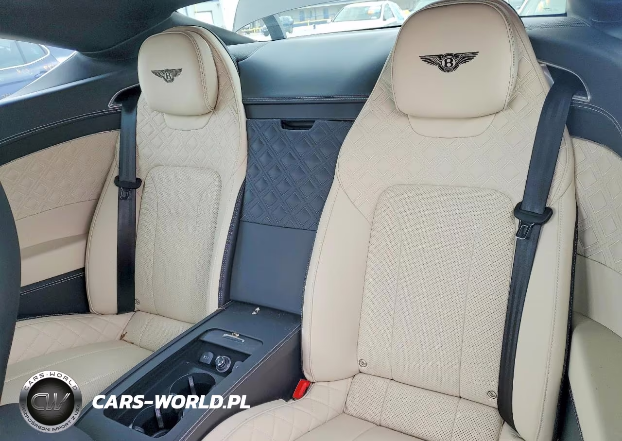 2020 Bentley Continental Gt VIN:SCBCB2ZG3LC080063 - 10