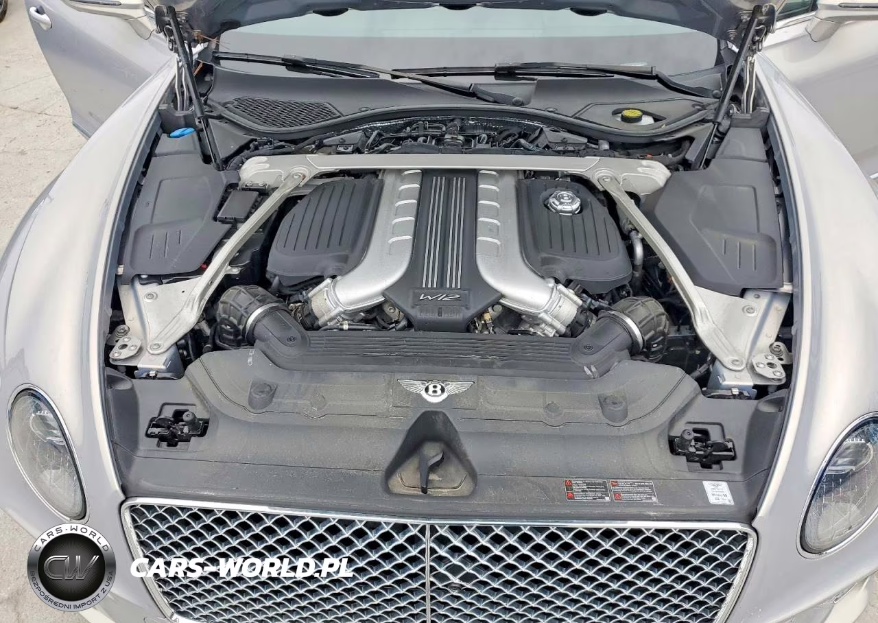 2020 Bentley Continental Gt VIN:SCBCB2ZG3LC080063 - 11