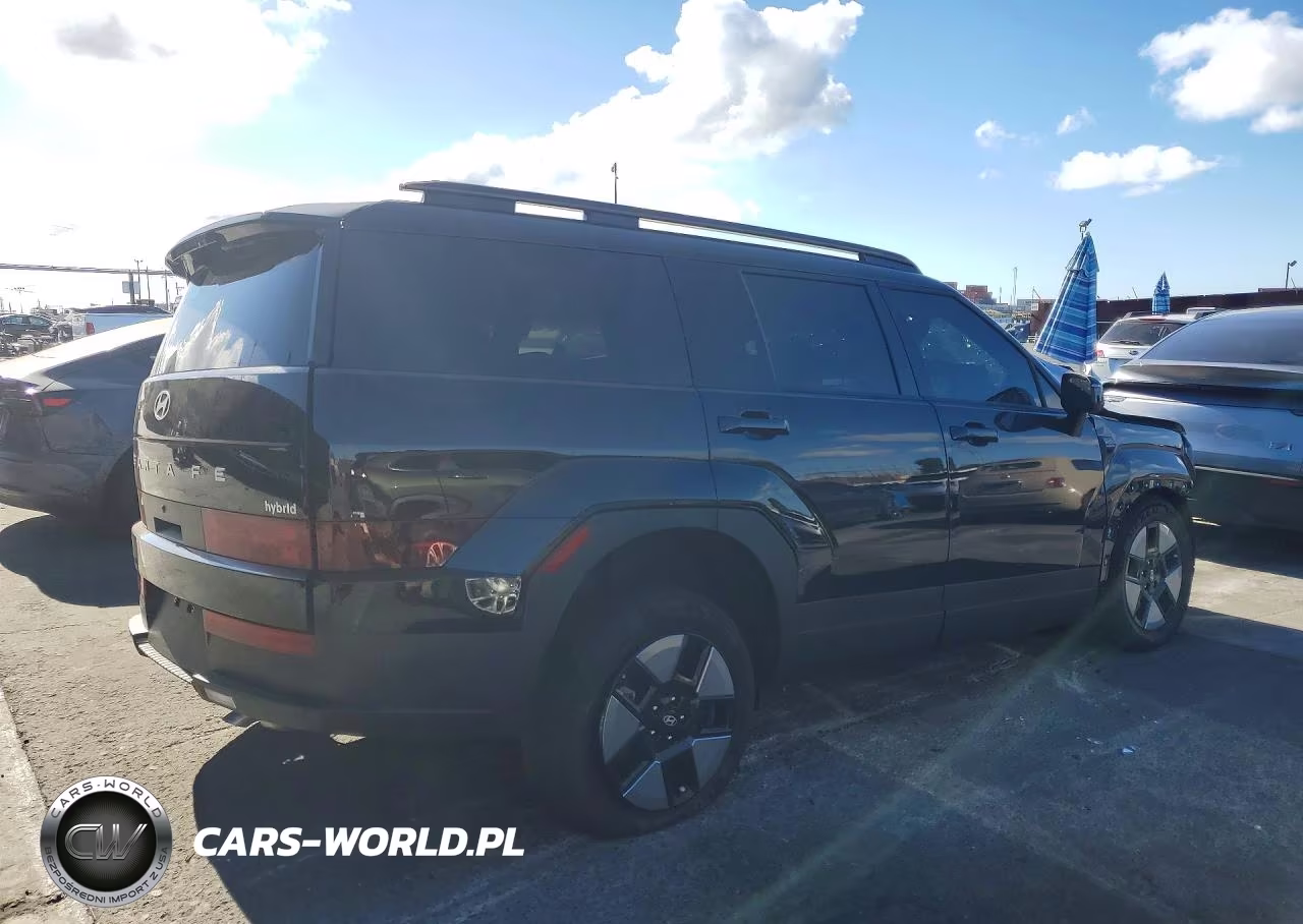 2025 Hyundai Santa Fe Sel VIN:5NMP24G18SH055510 - 3