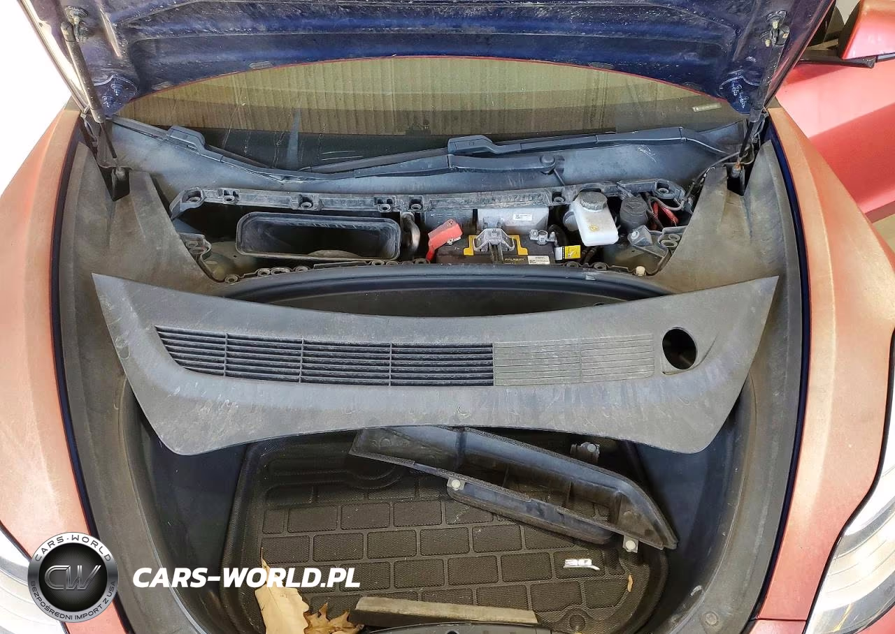 2020 Tesla Model 3 VIN:5YJ3E1EB8LF667046 - 12