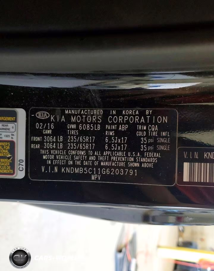 2016 Kia Sedona Lx VIN:KNDMB5C11G6203791 - 13