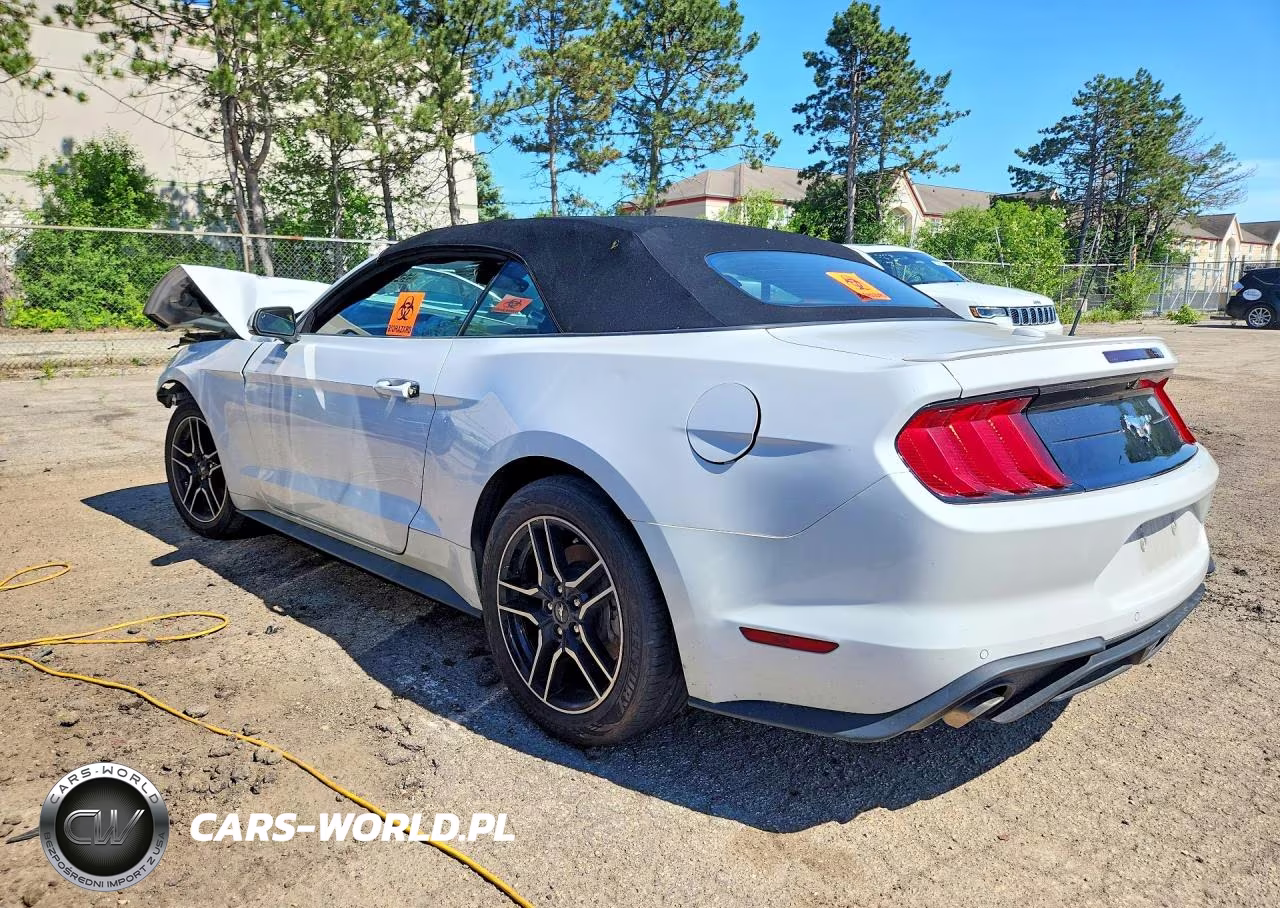 2022 Ford Mustang VIN:1FATP8UH4N5119547 - 2
