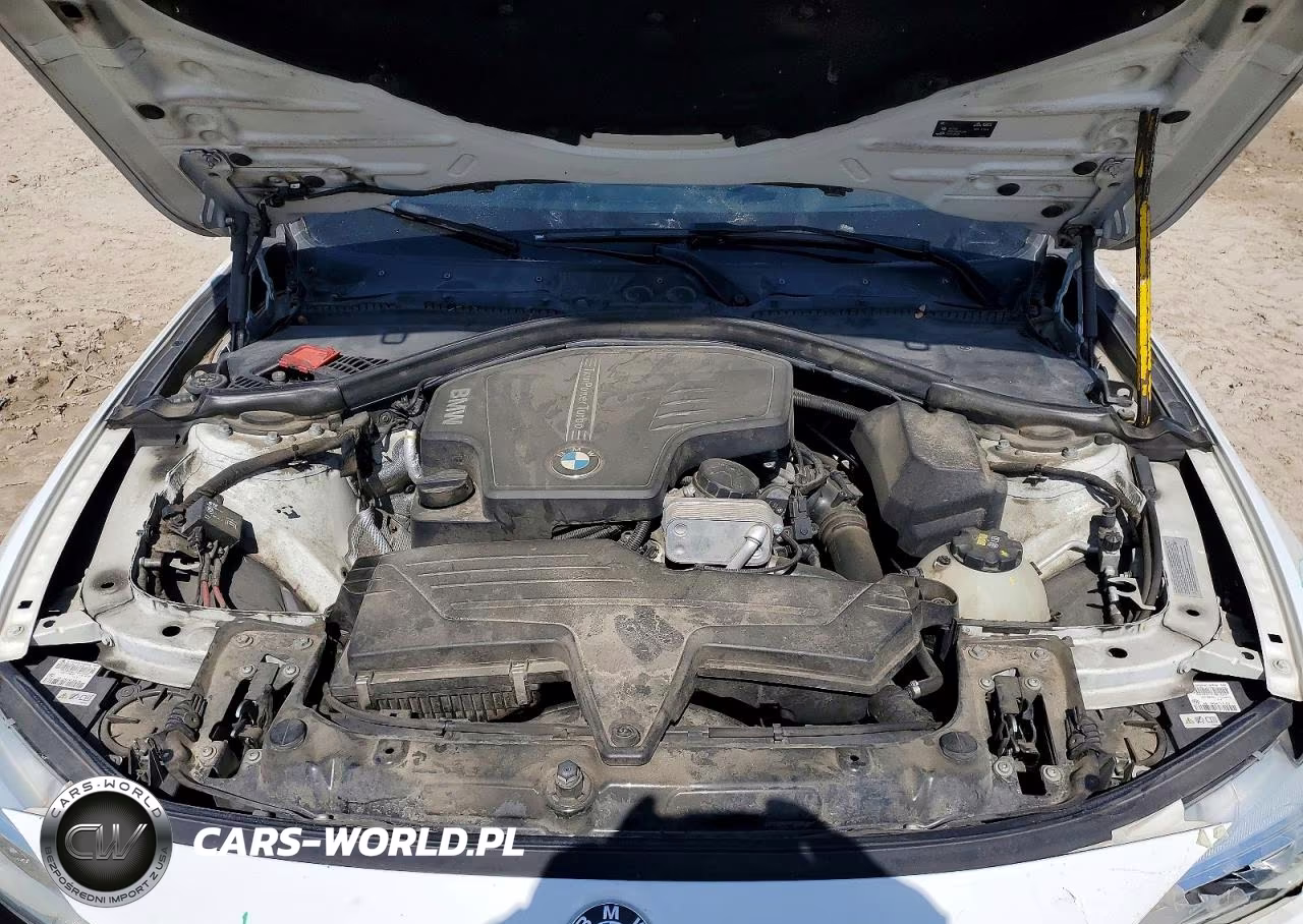 2015 BMW 428 Xi VIN:WBA3N5C51FK484838 - 12