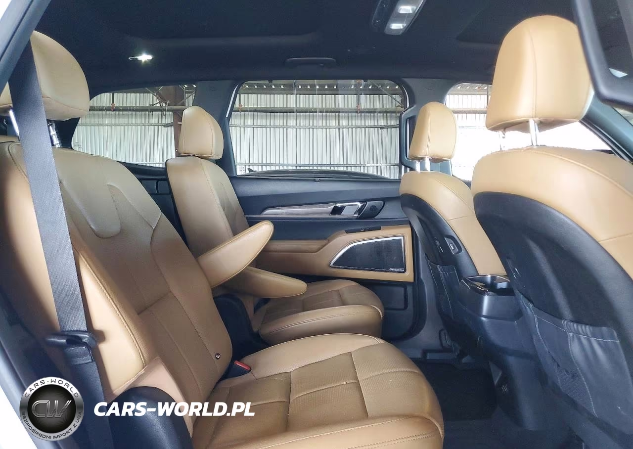 2020 Kia Telluride Sx VIN:5XYP5DHCXLG039229 - 11