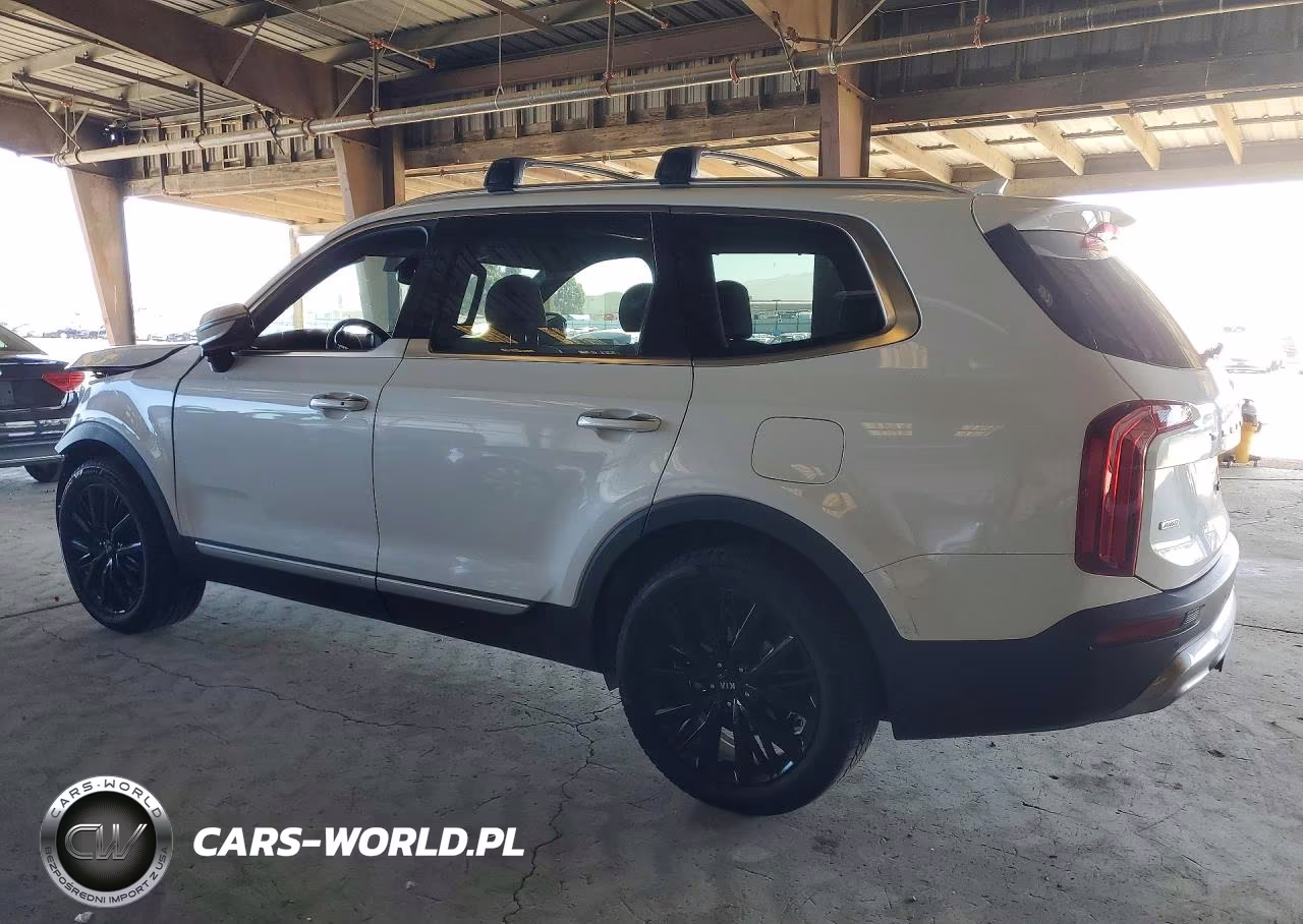 2020 Kia Telluride Sx VIN:5XYP5DHCXLG039229 - 2