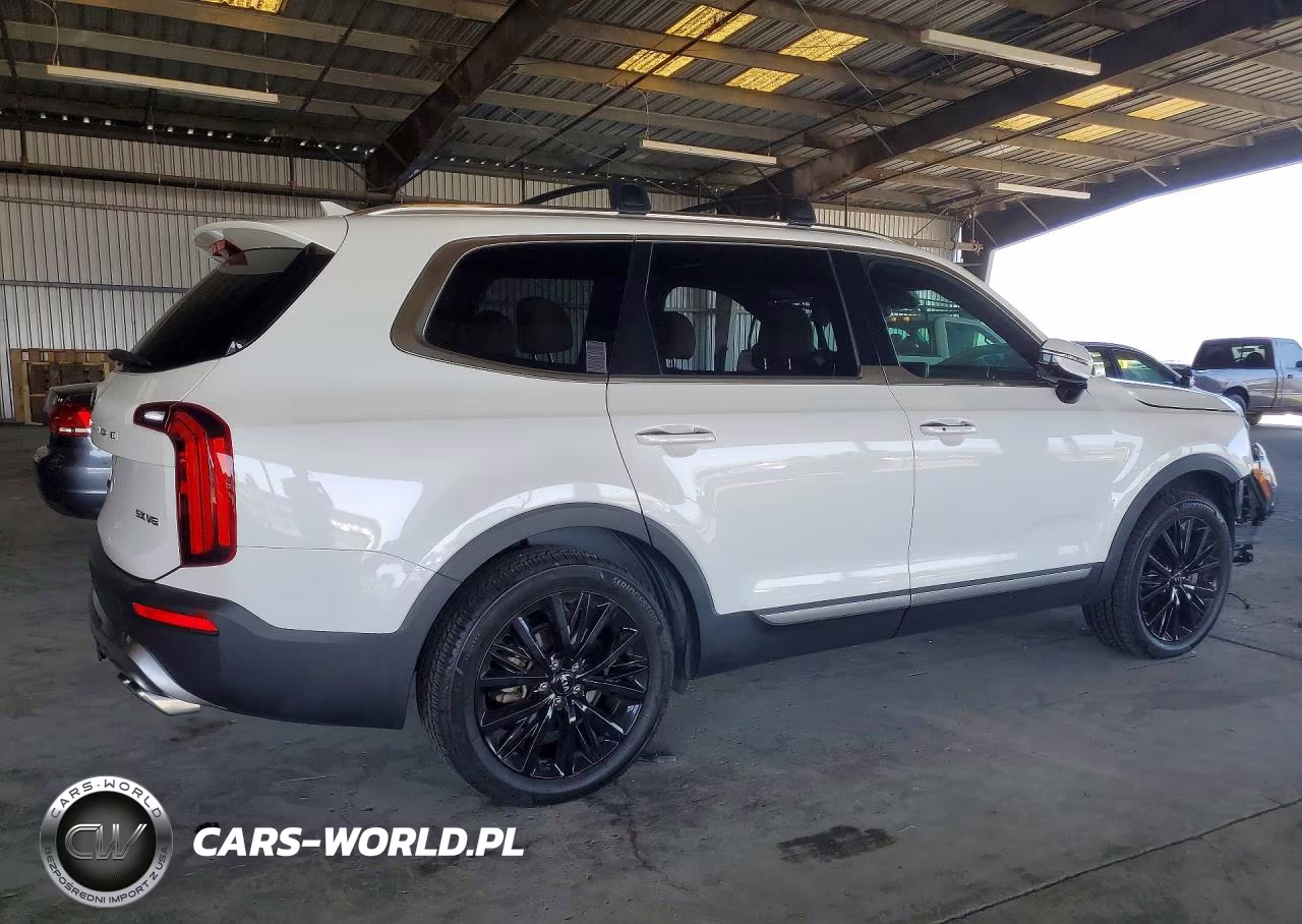 2020 Kia Telluride Sx VIN:5XYP5DHCXLG039229 - 3