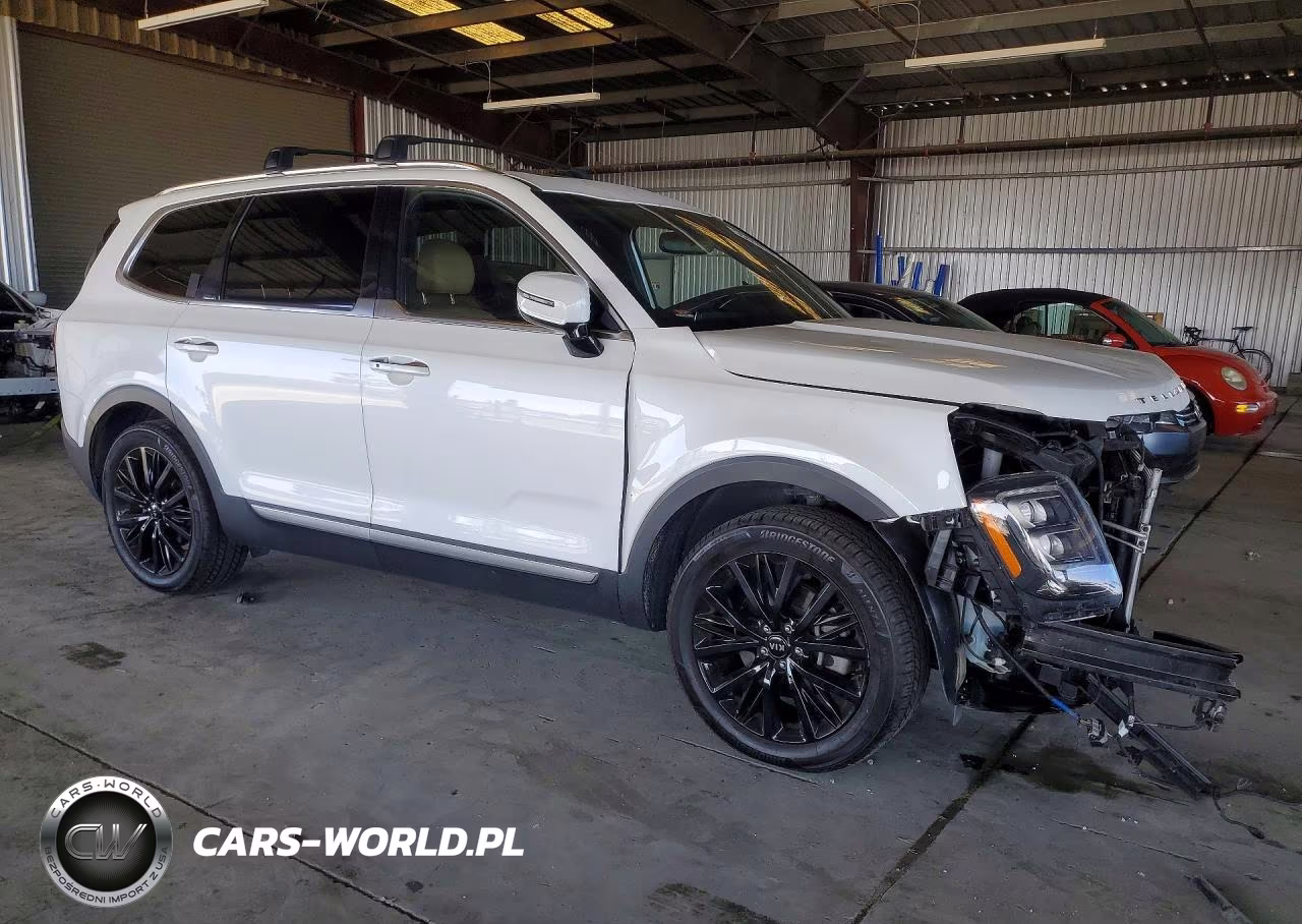 2020 Kia Telluride Sx VIN:5XYP5DHCXLG039229 - 4