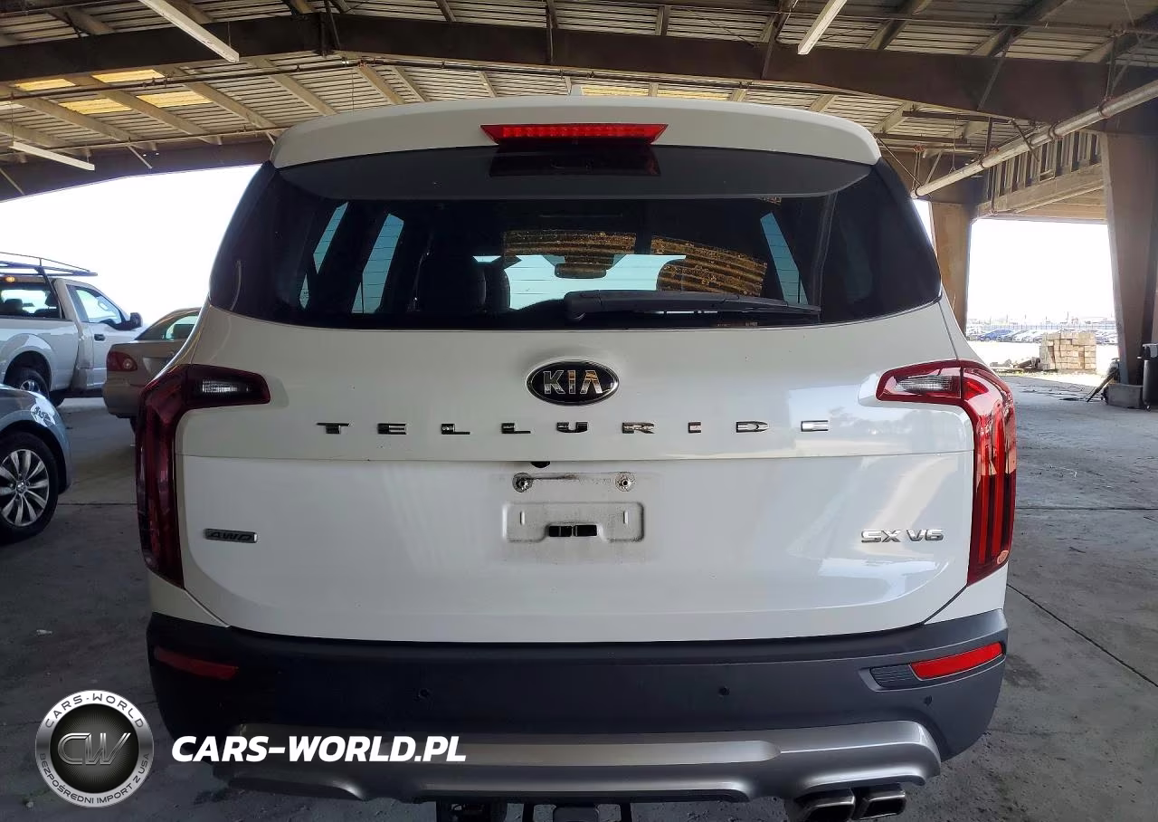 2020 Kia Telluride Sx VIN:5XYP5DHCXLG039229 - 6