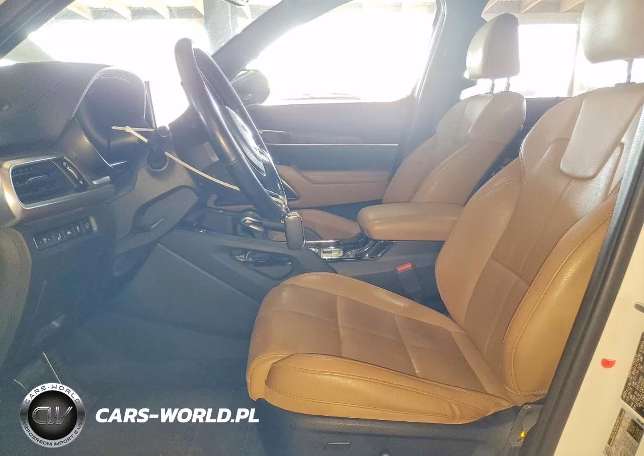 2020 Kia Telluride Sx VIN:5XYP5DHCXLG039229 - 7