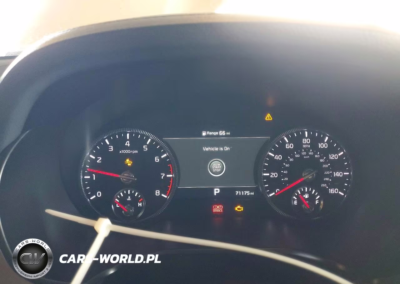 2020 Kia Telluride Sx VIN:5XYP5DHCXLG039229 - 9