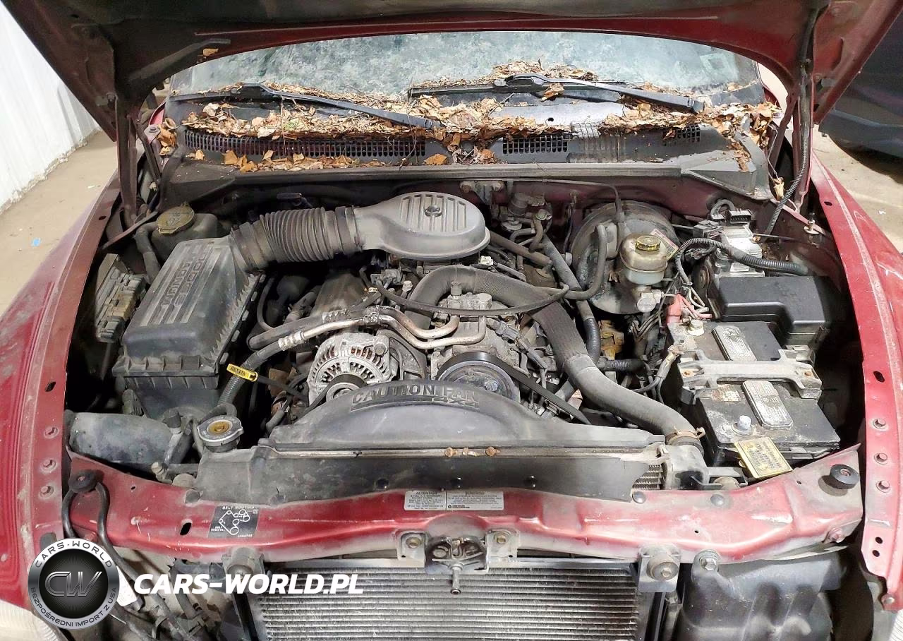 1999 Dodge Durango VIN:1B4HS28Z8XF529471 - 12