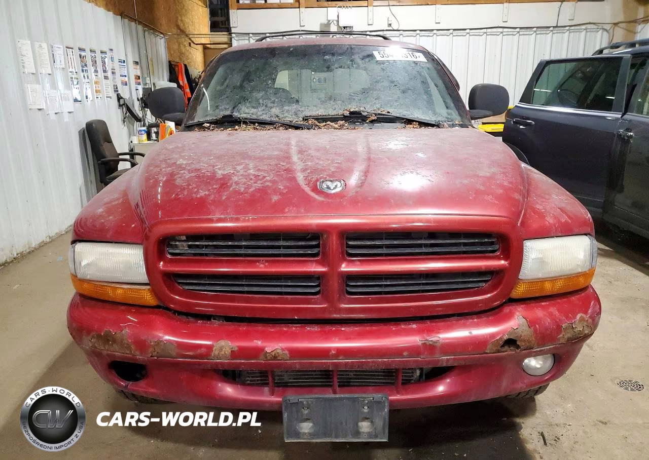 1999 Dodge Durango VIN:1B4HS28Z8XF529471 - 5