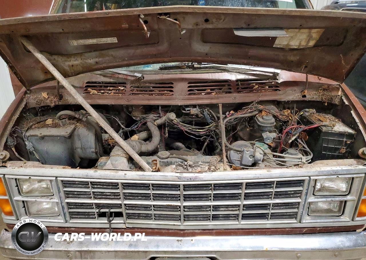 1983 Dodge 1500 Ram Vans Cargo VIN:2B7HB23H7DK311231 - 12
