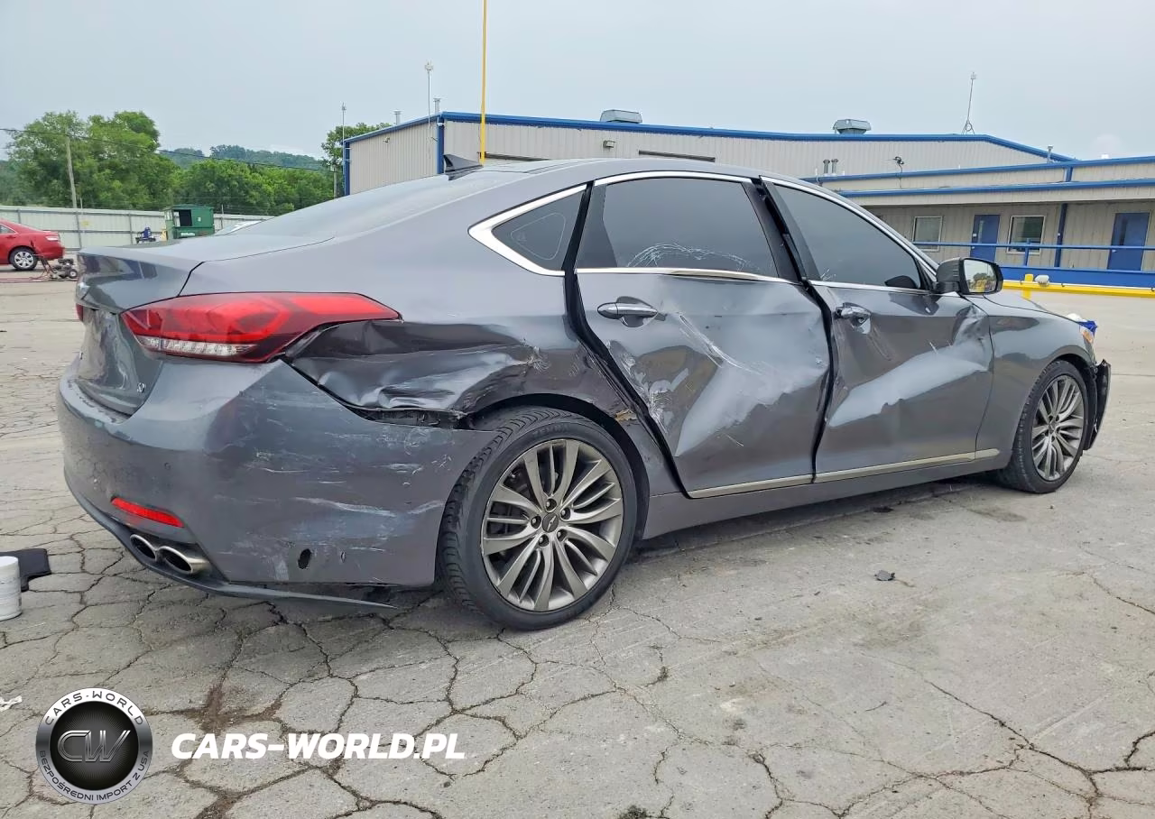 2015 Hyundai Genesis 5.0L VIN:KMHGN4JF2FU069571 - 3