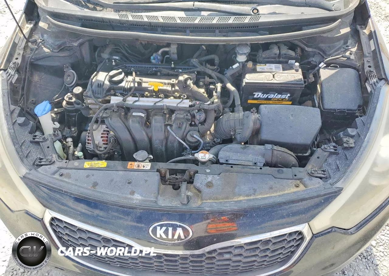 2016 Kia Forte Lx VIN:KNAFK4A66G5545158 - 11
