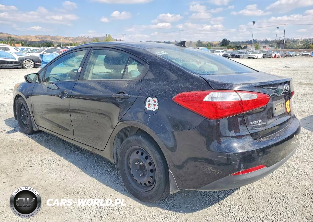 2016 Kia Forte Lx VIN:KNAFK4A66G5545158 - 2