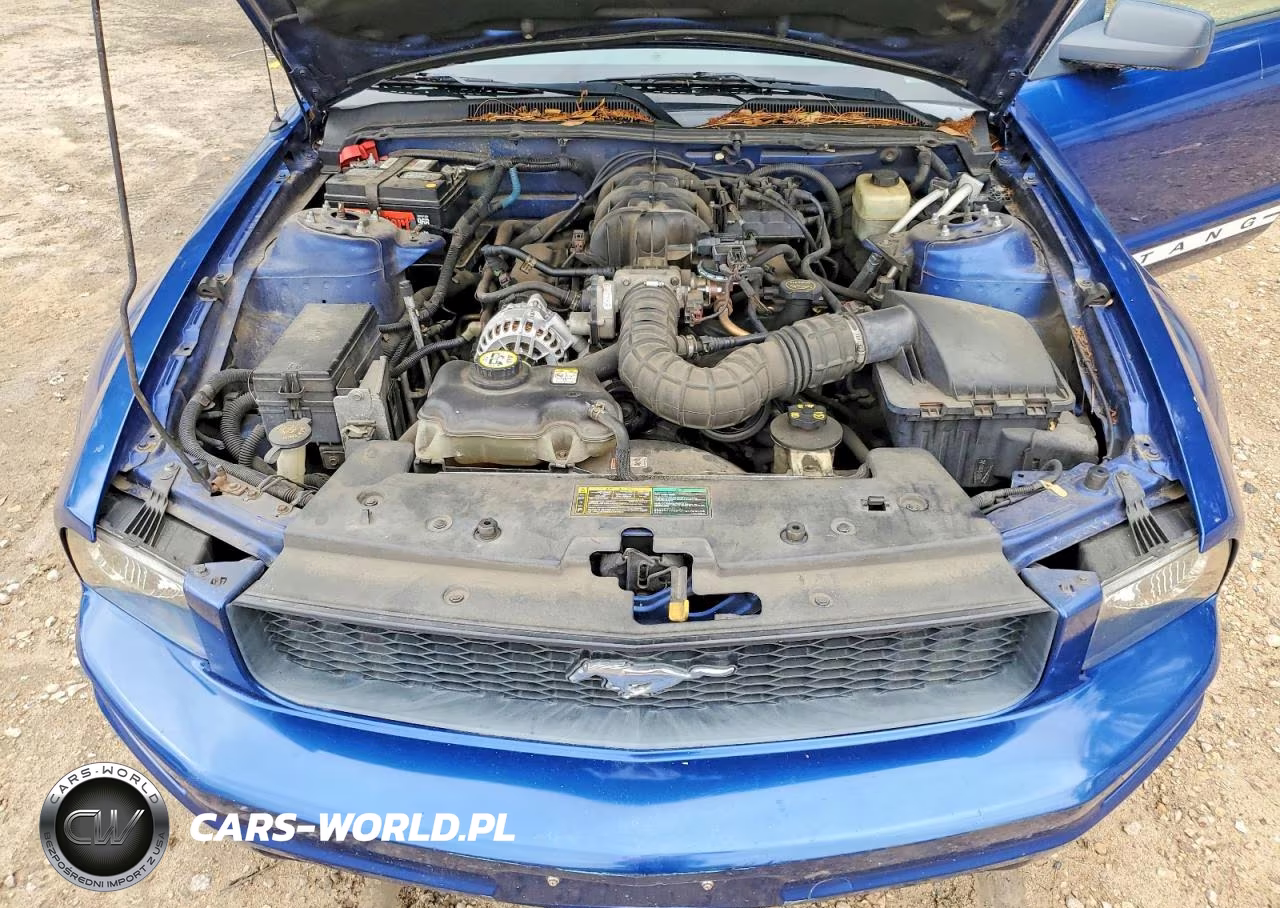 2006 Ford Mustang VIN:1ZVFT80N365114269 - 11