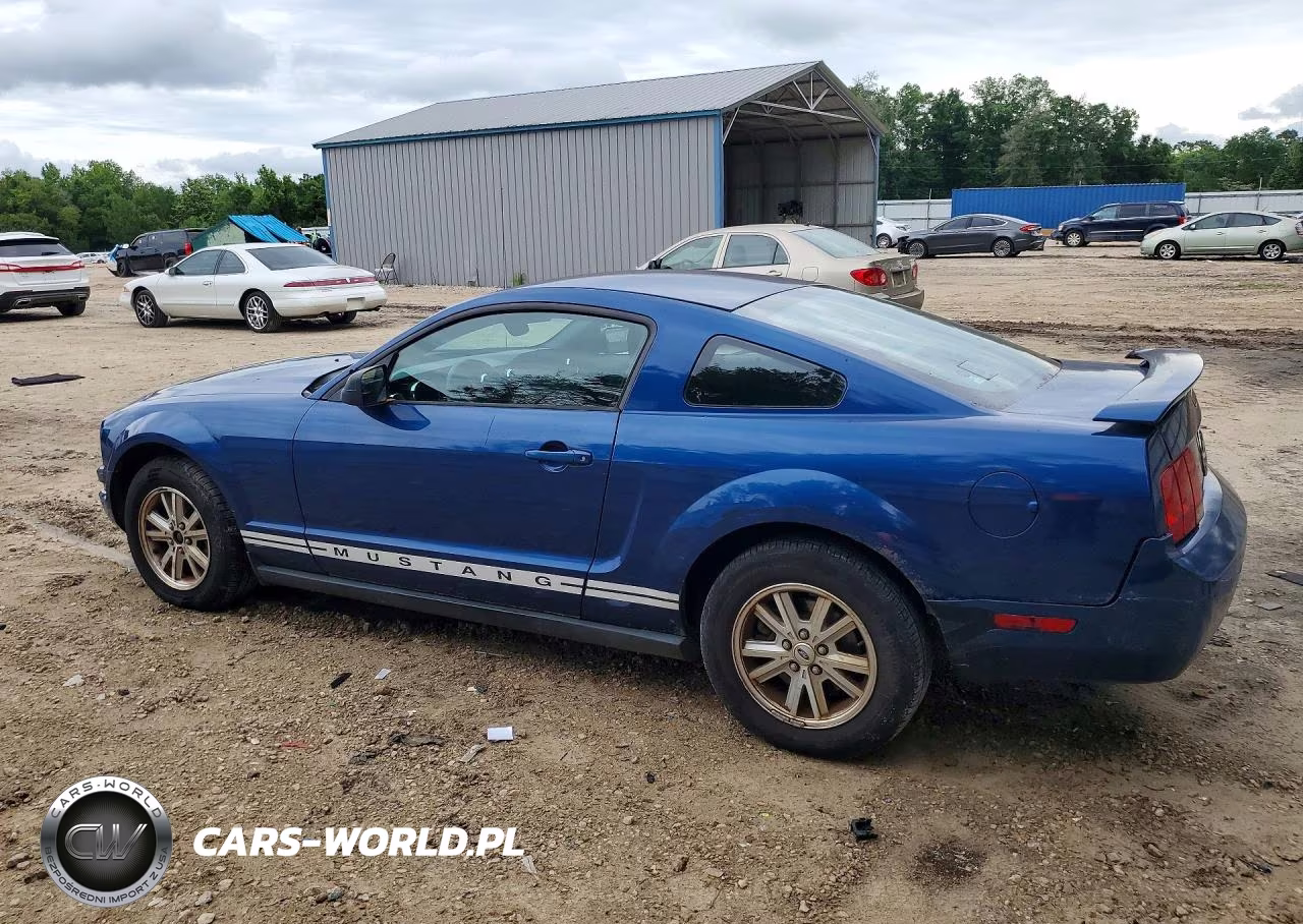 2006 Ford Mustang VIN:1ZVFT80N365114269 - 2