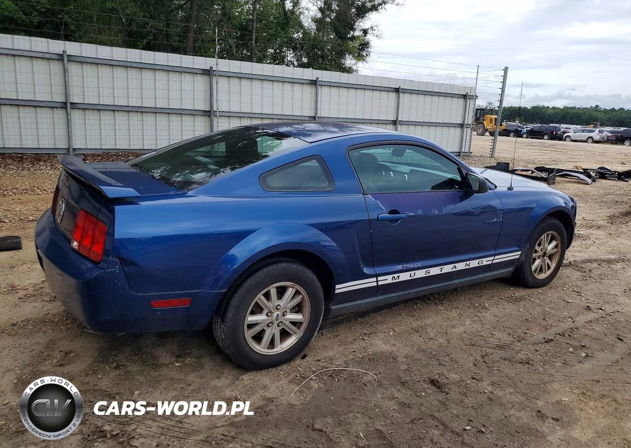 2006 Ford Mustang VIN:1ZVFT80N365114269 - 3