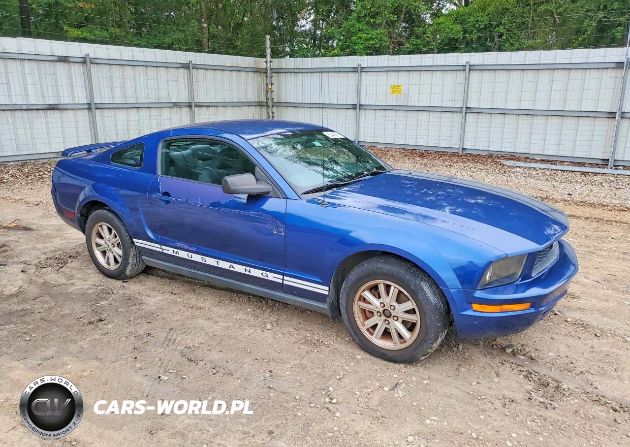 2006 Ford Mustang VIN:1ZVFT80N365114269 - 4