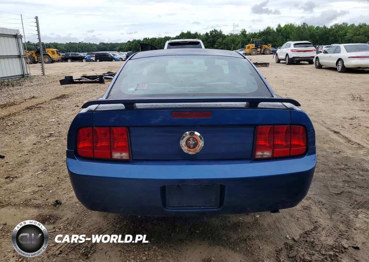 2006 Ford Mustang VIN:1ZVFT80N365114269 - 6